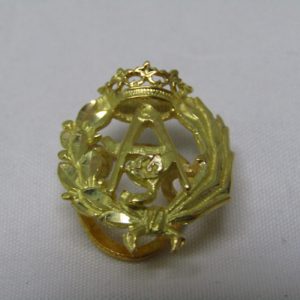 Broche de Solapa en Oro 18k, con Escudo de Arquitectura