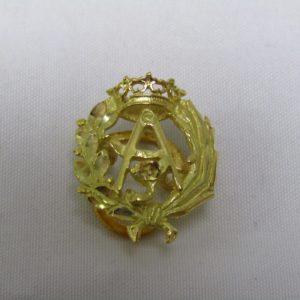 Broche de Solapa en Oro 18k, con Escudo de Arquitectura