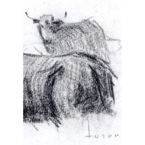 JOSÉ Mª TUSER VÁZQUEZ. Dibujo a lápiz y carbón. ""Toros""