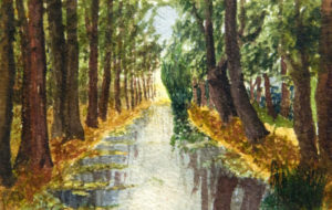 RICARDO LÓPEZ CABRERA. Óleo sobre cartón. “Paisaje Boscoso”