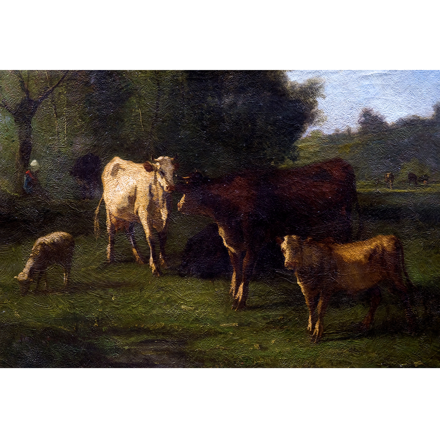 ANDRÉS CORTÉS AGUILAR. Óleo sobre lienzo. "Paisaje con ganado". ANDRÉS CORTÉS AGUILAR. Óleo sobre lienzo. "Paisaje con ganado".