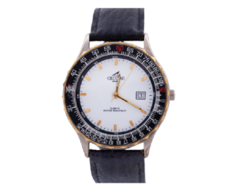 CECCINI SPORT (Grupo CITIZEN). Reloj de pulsera de caballero. Quartz. Japón. 2020-2025
